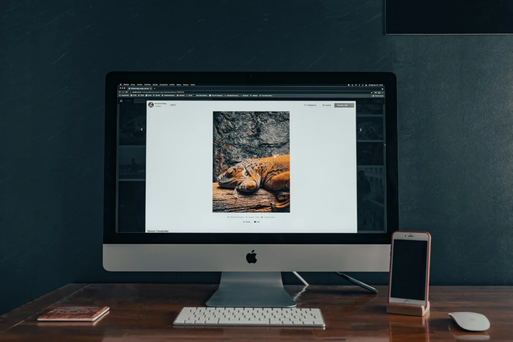 Páginas Web Minimalistas