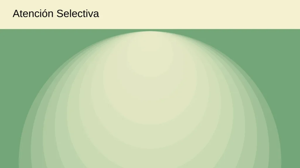 Atención Selectiva en Diseño Web