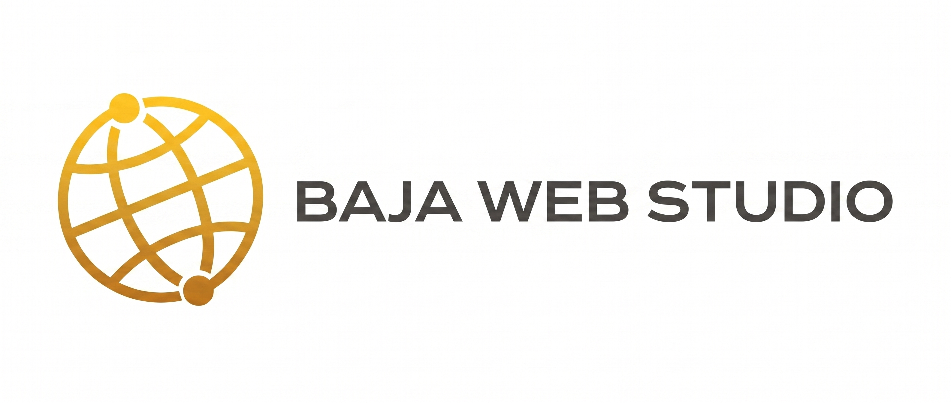 BWS Logo horizontal